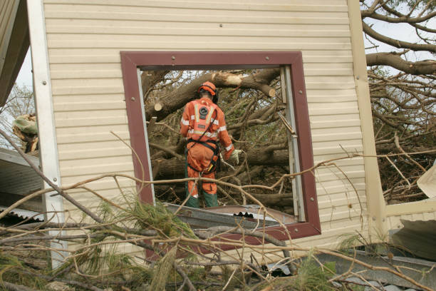 How Our Tree Care Process Works  in  Bevil Oaks, TX